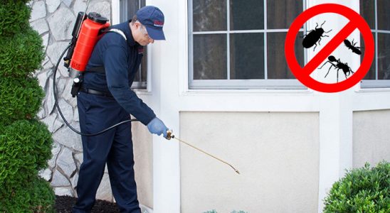 Mahmudiye Dezenfeksiyon böcek ilaçlama ve haşere kontrolü — ilaclama-tr.com